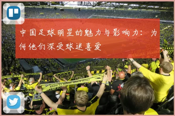 中国足球明星的魅力与影响力：为何他们深受球迷喜爱