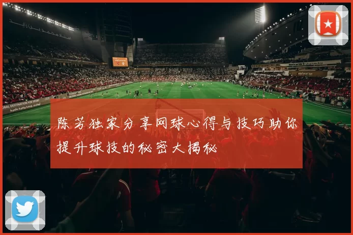 陈芳独家分享网球心得与技巧助你提升球技的秘密大揭秘