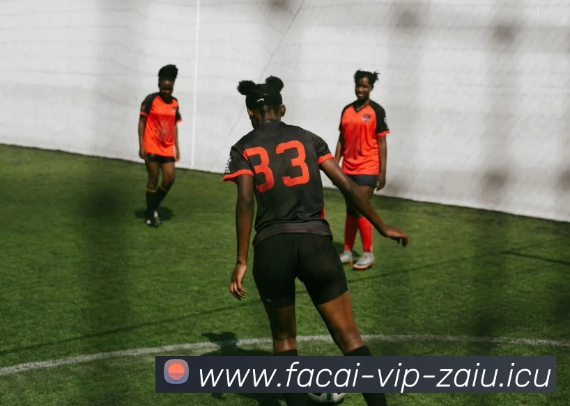 星空体育服务体系